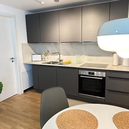 Whonap - Urban I Business I Zentral I Dachterrasse I Kueche * Neckarsulm